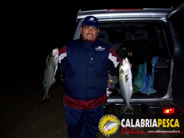 pesce serra pesca di notte
