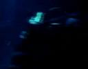 Immersione su relitto a Cannitello (Reggio Cal.) - 28.07.07
Immersione effettuata il 28.07.2007 su un relitto a Cannitello (Reggio Calabria); trattasi di una "mercantile" affondato ed attualmente adagiato sul fondale ad una profondità di circa 52 metri.
Parole chiave: immersione diving centro subacqueo subacquea relitto padi mare abissi calabria vaporetto deep underwater scuba
