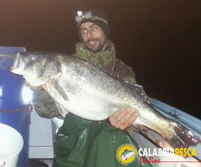 Spigola a fondo col vivo spigolona
Spigola a fondo col vivo 8.4kg esca cefalo vivo 
Parole chiave: Spigola fondo vivo