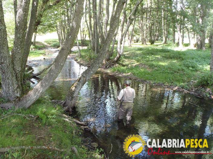 pesca a mosca sulla Sila, foto by giovanni paonessa
Fly fishing pesca mosca calabria fiume cavedano trota natura sila
Parole chiave: Fly fishing pesca mosca calabria fiume cavedano trota natura sila