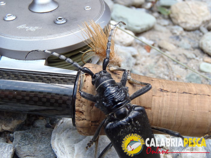 pesca con la mosca in calabria