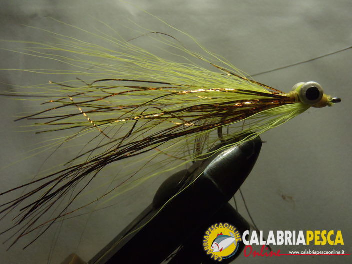 clouser minnow,  by giovanni paonessa
clouser minnow,  by giovanni paonessa
