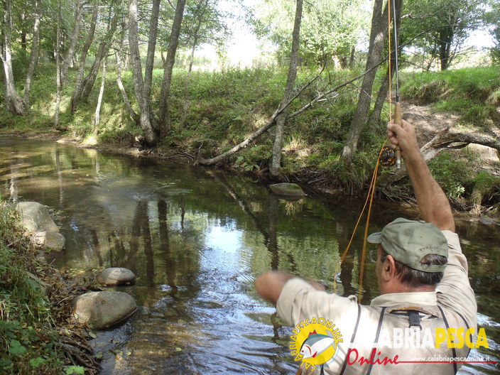 semplicemente pesca a mosca, foto by giovanni paonessa
Fly fishing pesca con la mosca in calabria
Parole chiave: Fly fishing pesca mosca calabria fiume trota fario