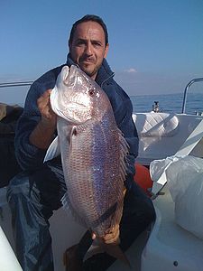 IMG_0608.JPG
