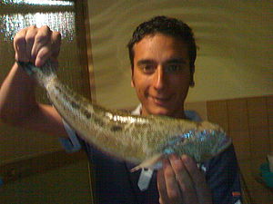 15052007633.jpg