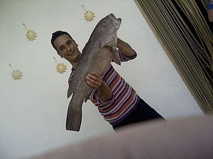 P13-05-12_11_065B15D.jpg
