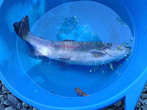 2012-06-16_10_37_10.jpg