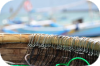 Palamito o coffa Tecnica maggiormente praticata dai pescatori di professione 