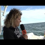 FIPSAS/Sharklife  – Taggati gli Squali a Porto Barricata