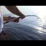 Shimano – Drifting con Stella Saltwater