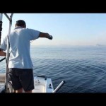 Italcanna Jig Killer – tecniche di pesca
