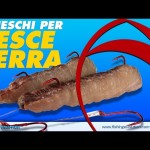 Innseschi SurfCasting: Preparare Filetti di Cefalo per Pesce Serra (2 Versioni + Bonus Nodi)