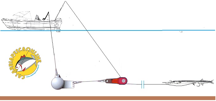 traina fondo downrigger