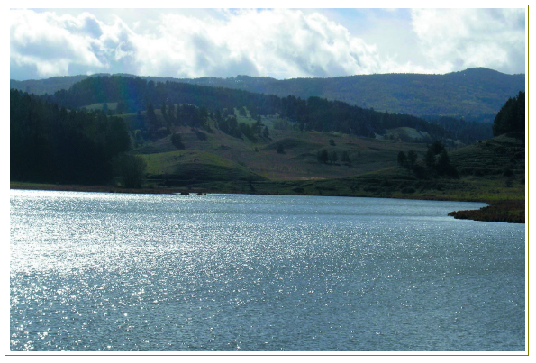 PESCA IN CALABRIA SILA LAGHI FIUMI